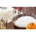 お米 コメ こめ 白米 精米 単一原料米 ご飯 白飯
