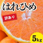 訳あり みかん 甘いだけじゃない 甘みと酸味の
