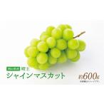 晴王 シャインマスカット 約600g