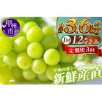 ショッピングふるさと納税 シャインマスカット ふるさと納税 新鮮産直！甲州市・シャインマスカット3回定期便【2026年発送】（KSF）D5-125 シャインマスカット フルーツ 山梨県甲州市