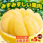 土佐文旦 小玉 約5kg