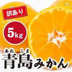 みかん 濃厚な甘さが特徴 訳あり青島みかん