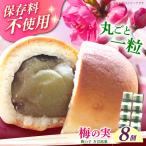 和菓子 築上銘菓 梅の実 8 個