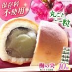 和菓子 築上銘菓 梅の実 10 個