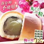 和菓子 築上銘菓 梅の実 12 個