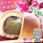 和菓子 築上銘菓 梅の実 20 個