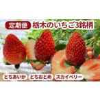 栃木のいちご3銘柄 とちあいか とちおとめ