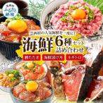 かつおのたたき600g ネギトロ80gx2P