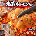 元祖塩竈ホルモンセット bs00001