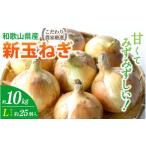 fu.... налог Wakayama префектура производство новый шар лук порей примерно 10kg L размер примерно 25 штук входит предубеждение сельское хозяйство дом тщательно отобранный![2026 год 4 конец месяца примерно ~6 месяц средний .. отправка предположительно ][kgr033] Wakayama префектура . хорошо блок 