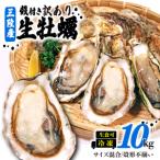ふるさと納税 訳あり 数量限定 生産調整品 牡蠣 10kg (生食可) かき カキ 冷凍 岩手県産 殻付き 生食 生食用 訳あり わけあり 大きさ不揃い 不.. 岩手県大船渡市