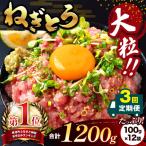 ねぎとろ 1200g
