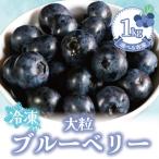 冷凍ブルーベリー 約1kg
