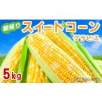 ふるさと納税 スイートコーン「グラビス」 5kg(2L〜3L) 長野県 山形村 2413 長野県山形村