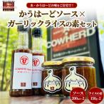かうはーどソース×ガーリックライスの素セット