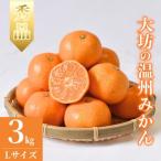 大坊の温州みかん 3kg