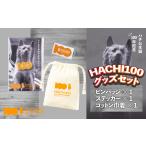 HACHI100グッズセット HACHI100オリジナルピンバッジ