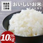 白米 新米 10kg