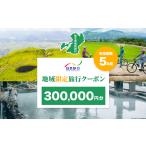 日本旅行 地域 旅行クーポン 300,000円