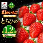 幻のプレミアムいちご とちひめ 約1.2kg