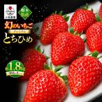 幻のプレミアムいちご とちひめ 約1.8kg