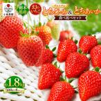 とちひめ とちあいか 食べ比べ プレミアム