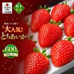 とちひめ とちあいか 食べ比べ 600g