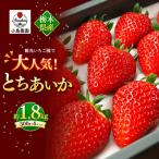 観光農園で大 とちあいか 約1.8kg