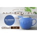 ユニバーサルティーポット 5人用 680ml