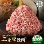 三元豚 ひき肉 600g