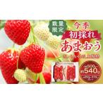 今季初採れあまおう2パック