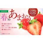 春のあまおう 2L