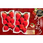 あまおう2パック×3回発送 あまおう いちご