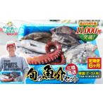 鮮魚セット 特選 三陸海の恵み詰め合わせ