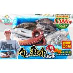 鮮魚セット 厳選 三陸海の恵み詰め合わせ