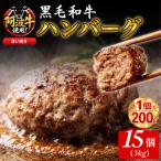 黒毛和牛 ハンバーグ 3kg
