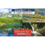 旅行クーポン 60 000 円分 キャンプ 体験