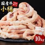 牛 小腸 10kg