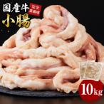 牛 小腸 10kg