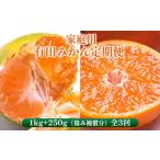 〈定期便〉 有田みかん定期便 1kg+250g