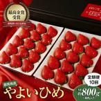 いちご 定期便10回分 やよいひめ 約800g