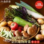 JA 季節の加賀野菜 金沢地物野菜セット