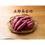 五郎島金時 5kg入