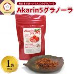 乾燥りんご Akarin5グラノーラ 64g×1袋