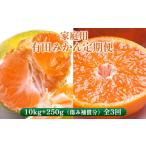 〈定期便〉 有田みかん定期便 10kg+250g
