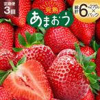 いちご 3回 定期便 完熟 博多 あまおう 270g
