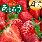 いちご 完熟 あまおう 約270g