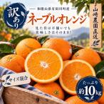 訳あり ネーブルオレンジ 約10kg
