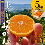 有田みかん じぃじのみかん 約5kg
