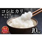 コシヒカリ 10kg